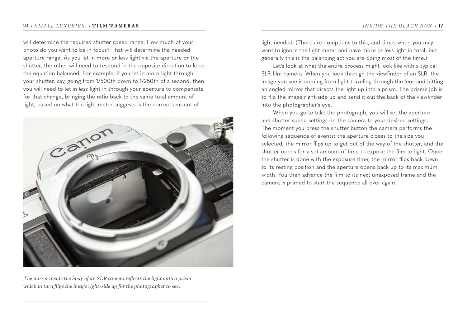 Film Cameras - Small Luxuries