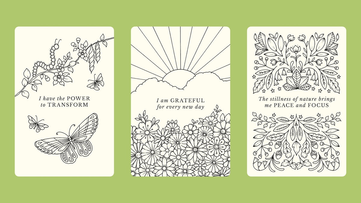 Johanna Basford's Notes from Nature - 30 Affirmations Cards to Colour