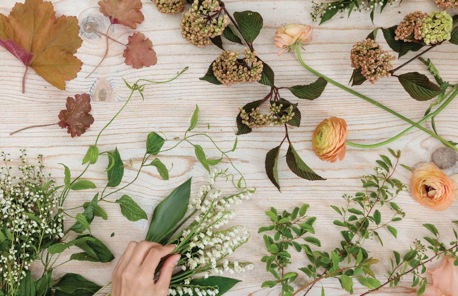 Gathering - Setting the Natural Table