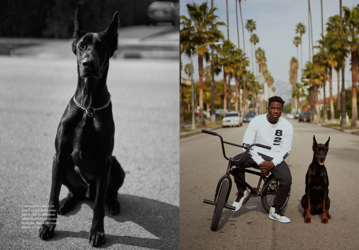 Nigel Sylvester: GO