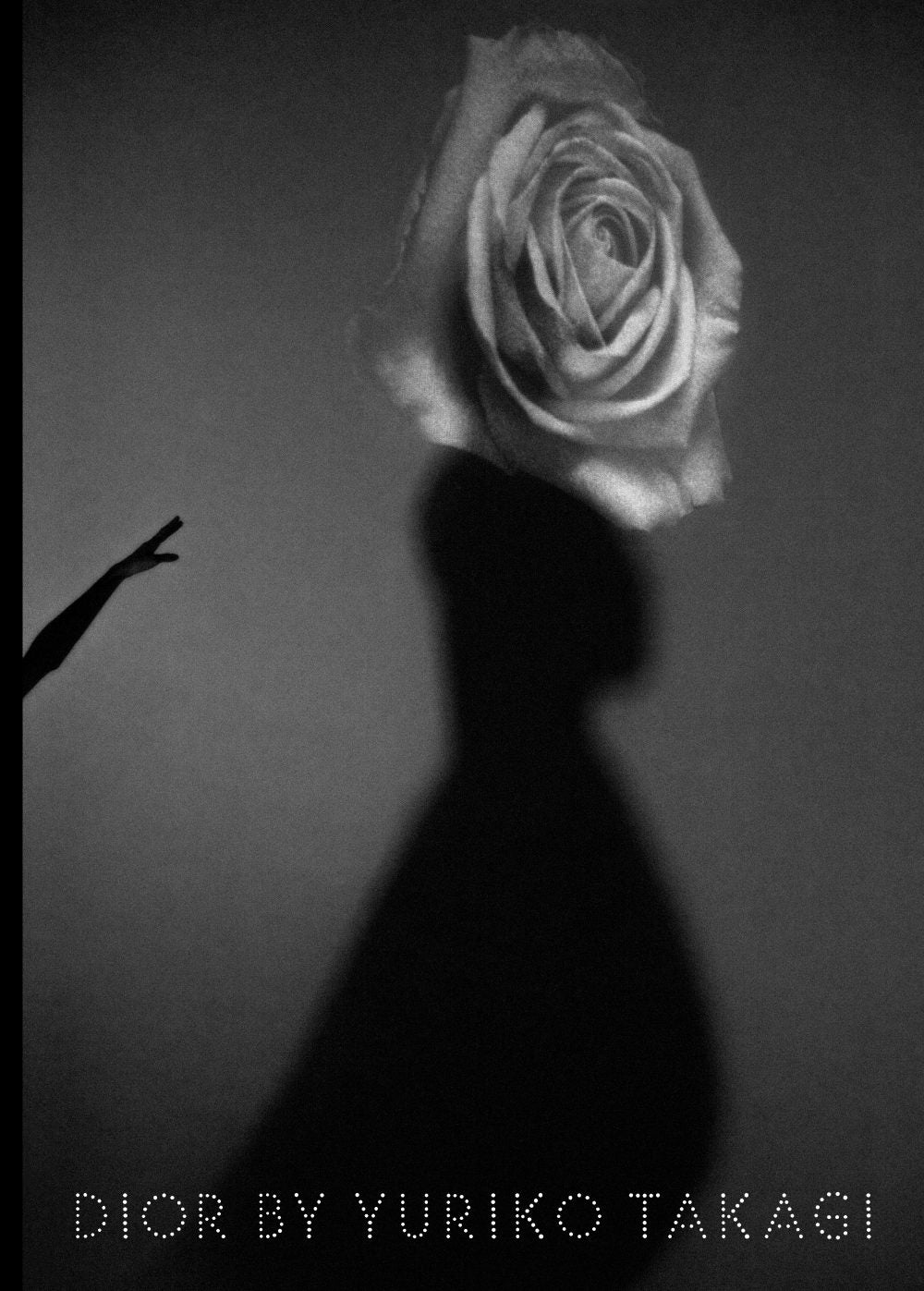 DIOR BY YURIKO TAKAGI アートブック RI1610.jpg?crop=center&height=