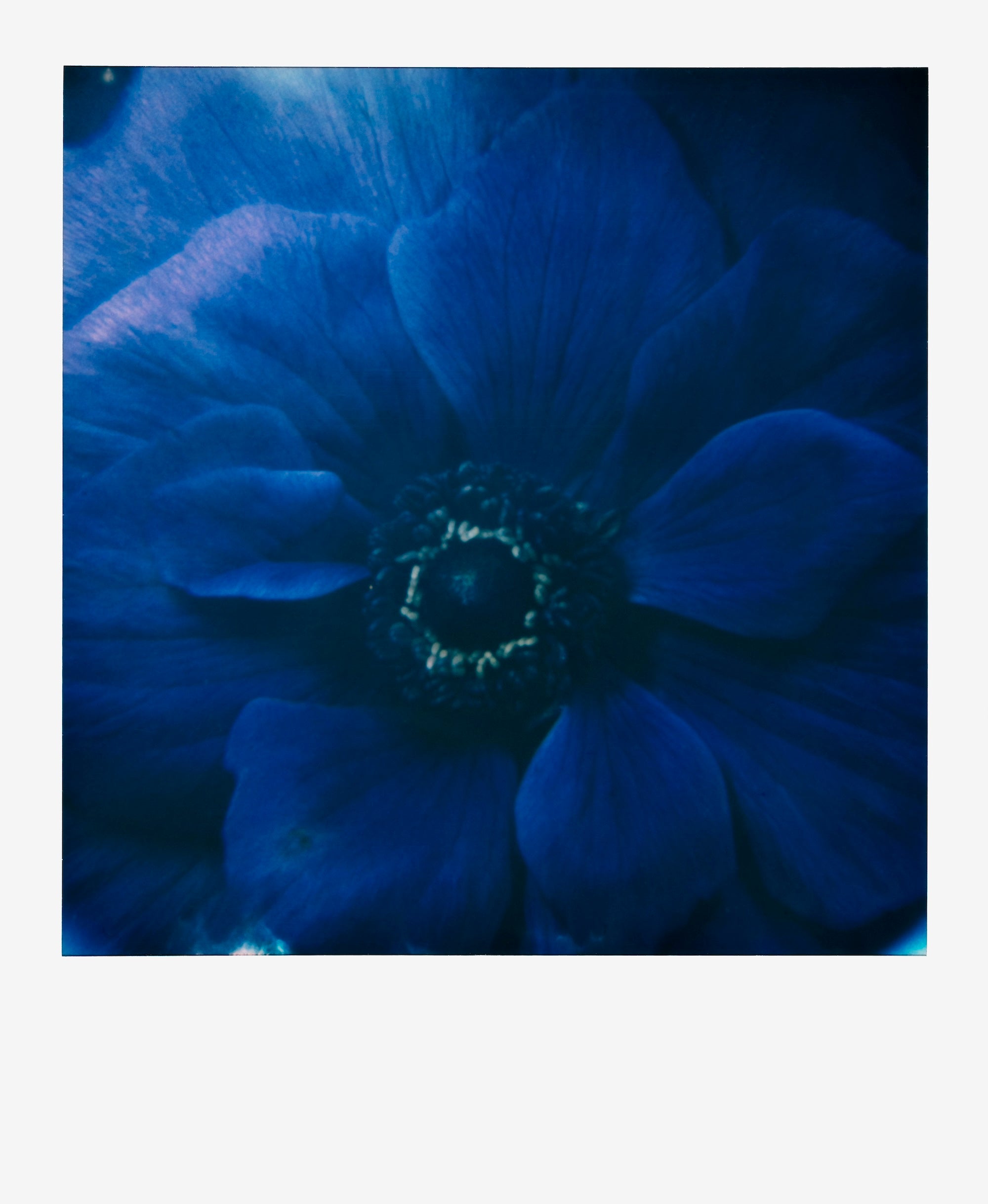 François Halard PHOTOGRAPHY: FRANÇOIS HALARD X TRACES OF THE DIVINE