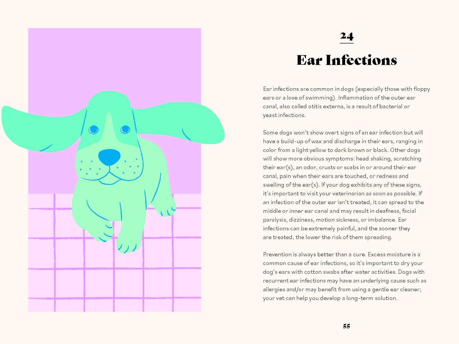 The Ultimate Guidebook for Dog Owners