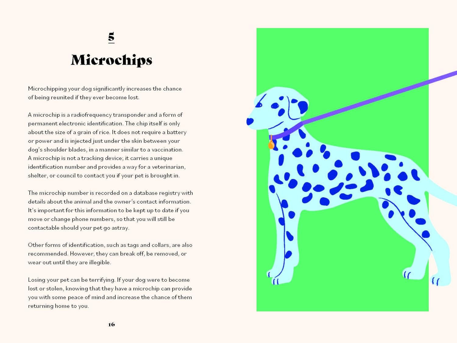 The Ultimate Guidebook for Dog Owners