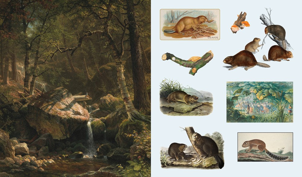 The Sticker Treasury of Woodland Adventures