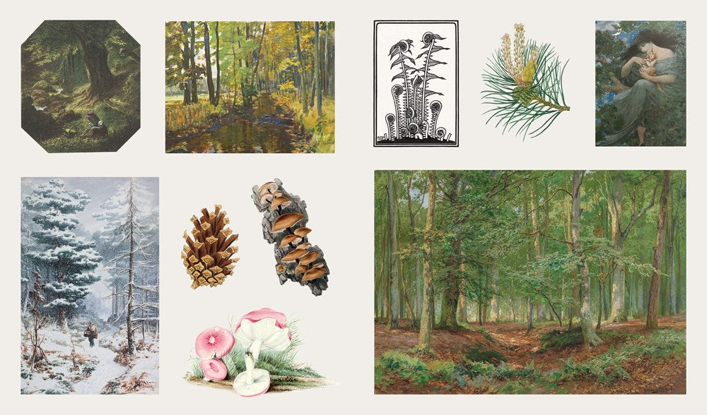 The Sticker Treasury of Woodland Adventures