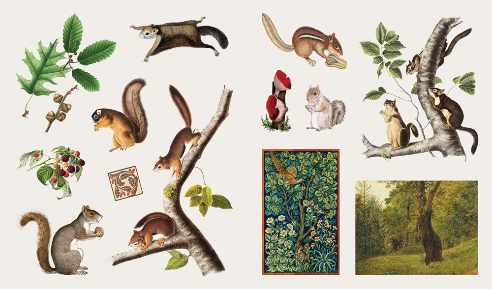 The Sticker Treasury of Woodland Adventures