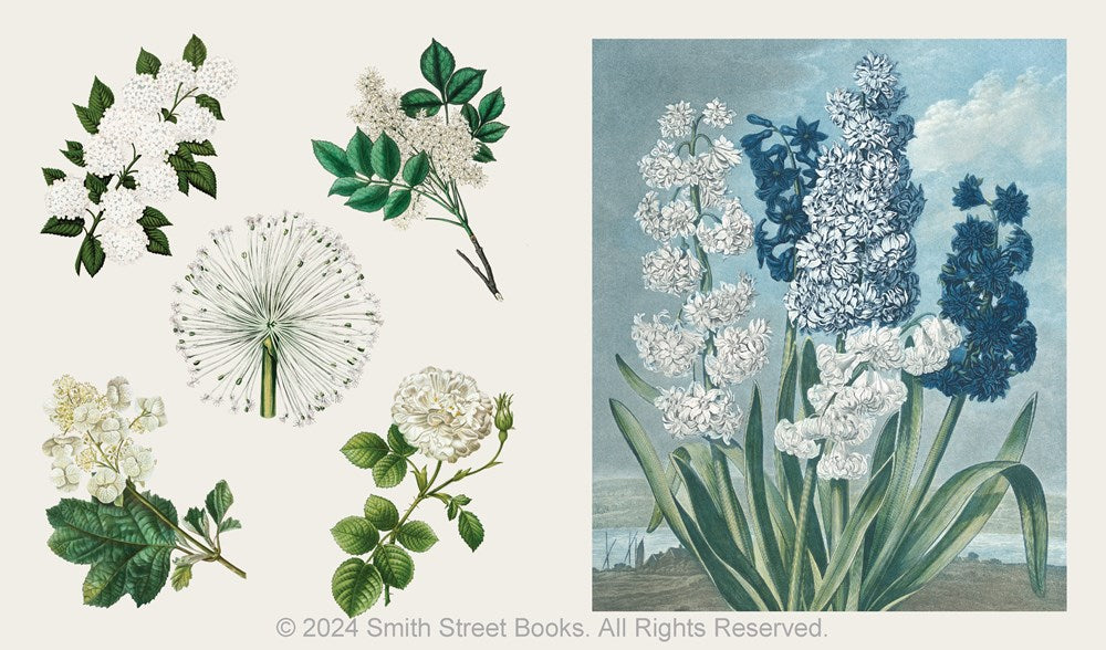 The Sticker Treasury of Blooms and Butterflies