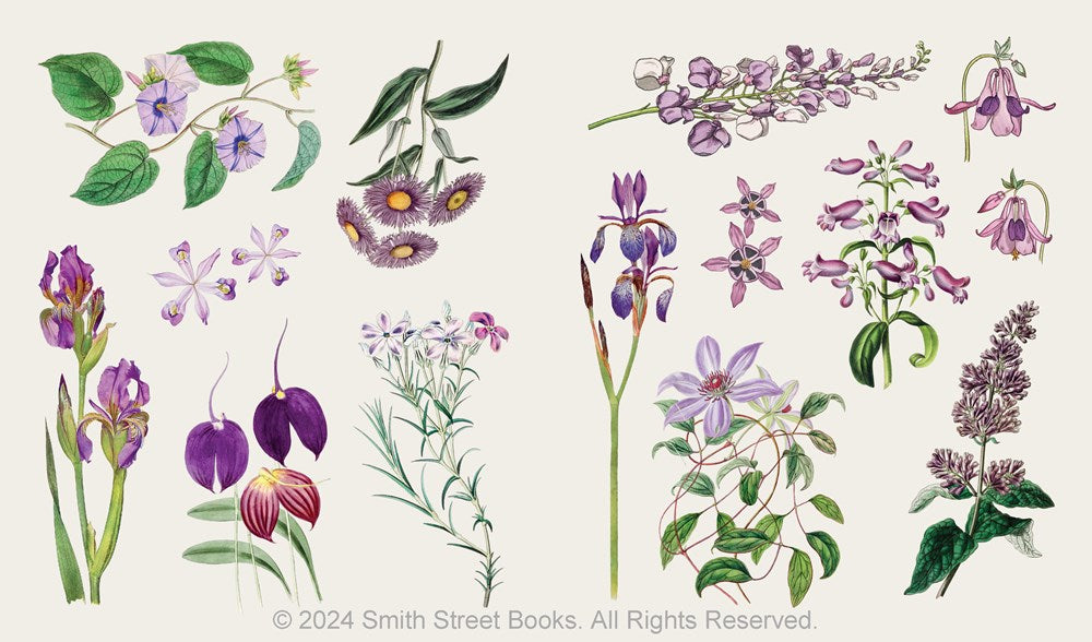 The Sticker Treasury of Blooms and Butterflies