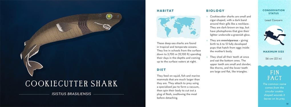 Wonders of the Wild - Sharks