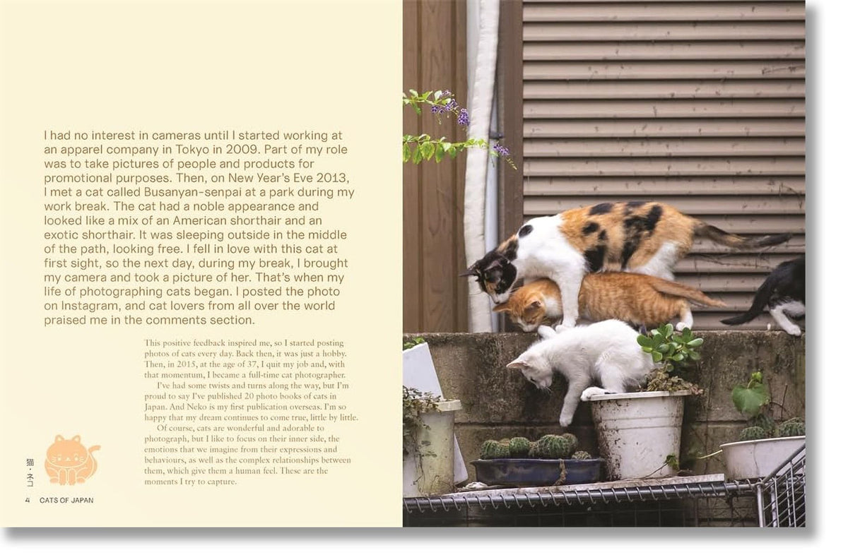 NEKO - Cats of Japan