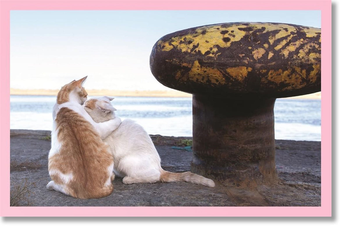 NEKO - Cats of Japan