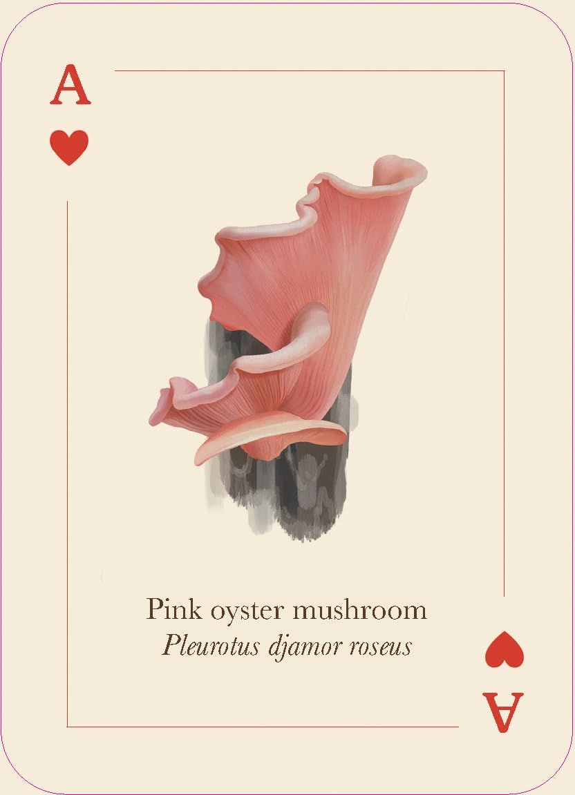 Mushrooms of the Wild