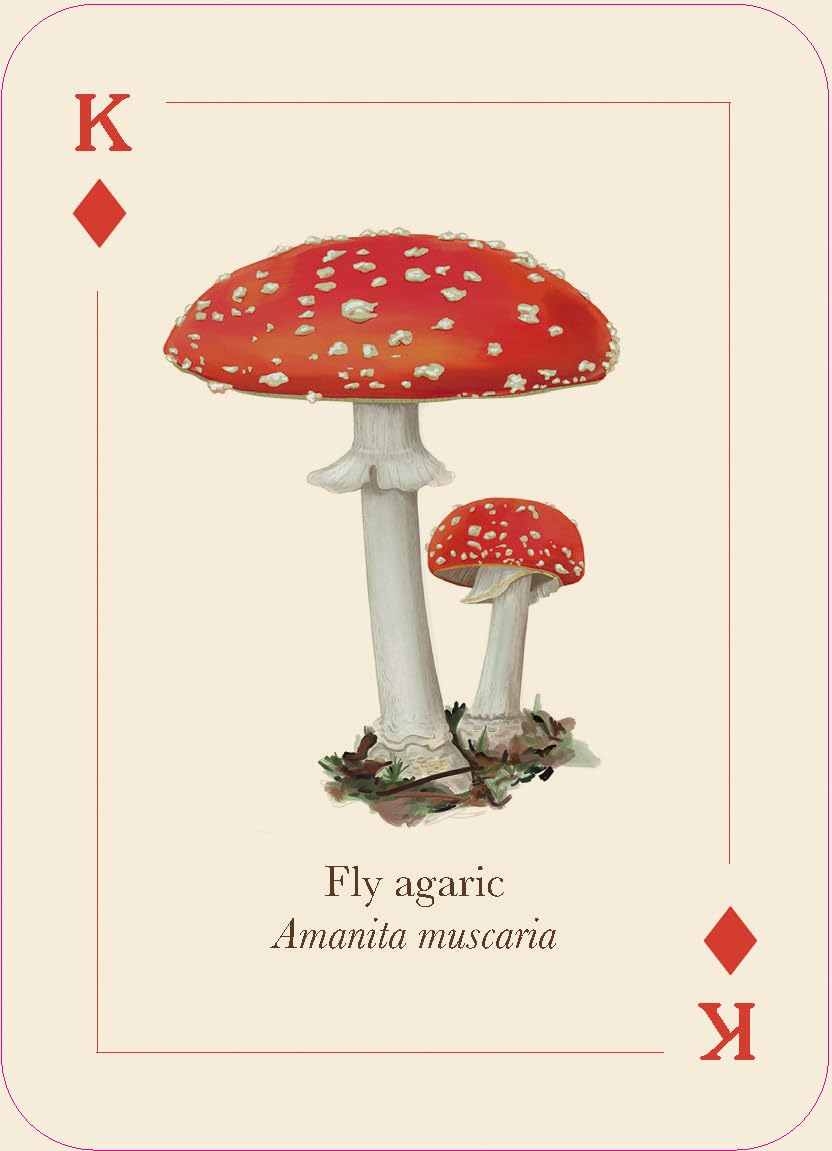 Mushrooms of the Wild