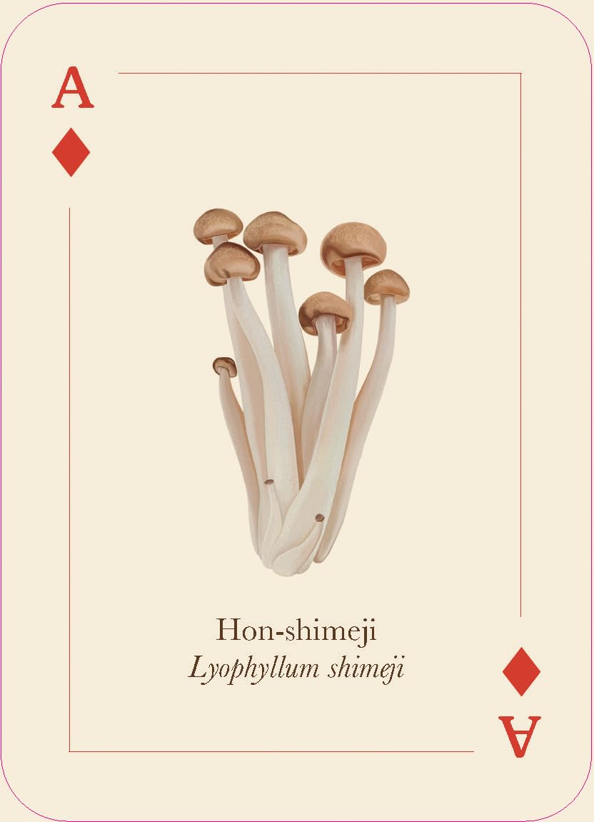 Mushrooms of the Wild