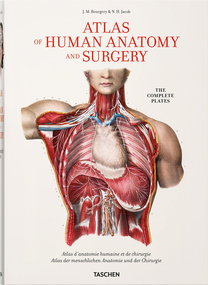 Atlas of Human Anatomi XL