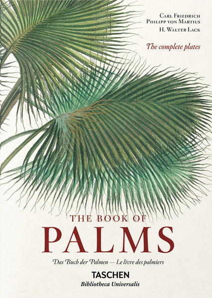 【入手困難！美品】THE BOOK OF PALMS TA1070_07b400d3-2cca-4d5a-9254