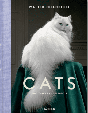 Cats - Photographs 1942–2018