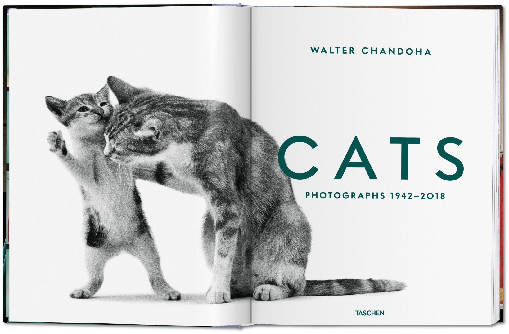 Cats - Photographs 1942–2018