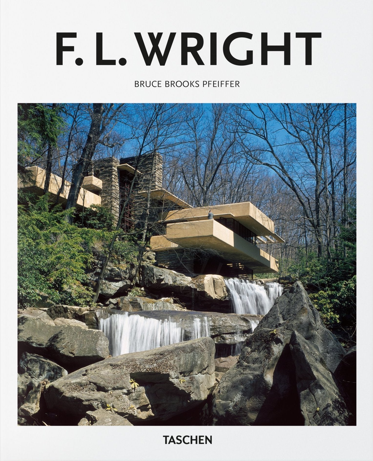 F. L. Wright - Basic Art Series