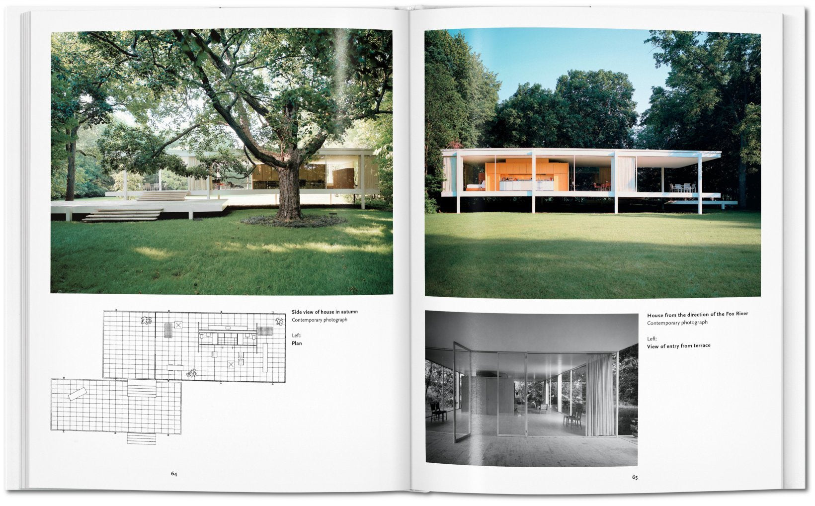 Mies Van Der Rohe - Basic Art Series