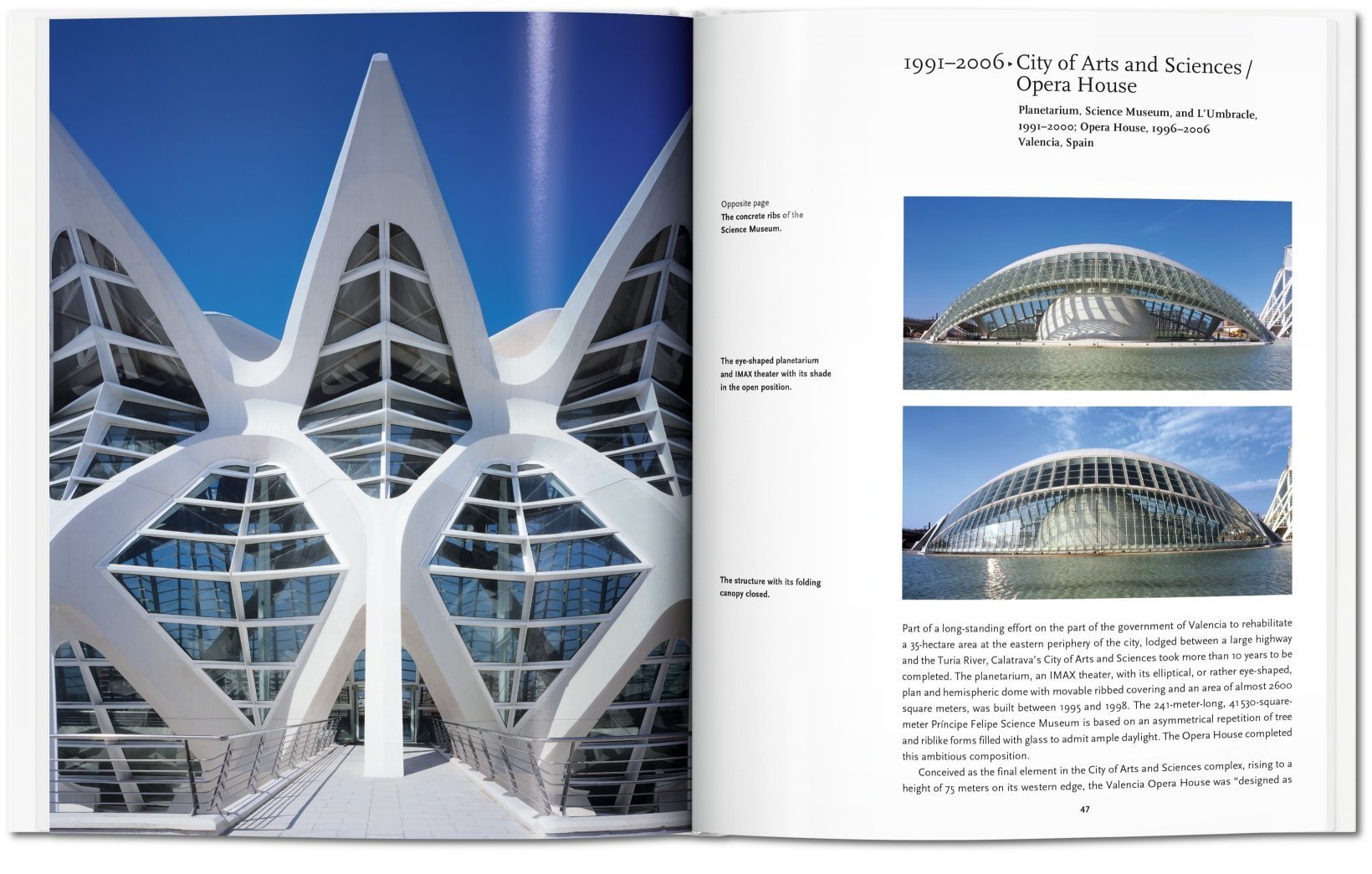 Calatrava - Basic Art Series