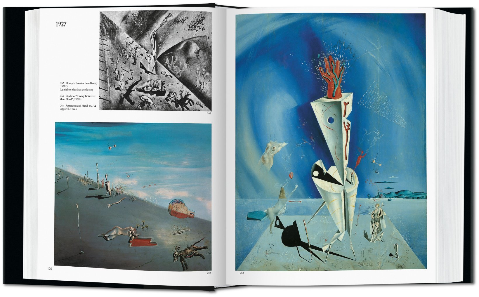 Dalí. The Paintings (small)