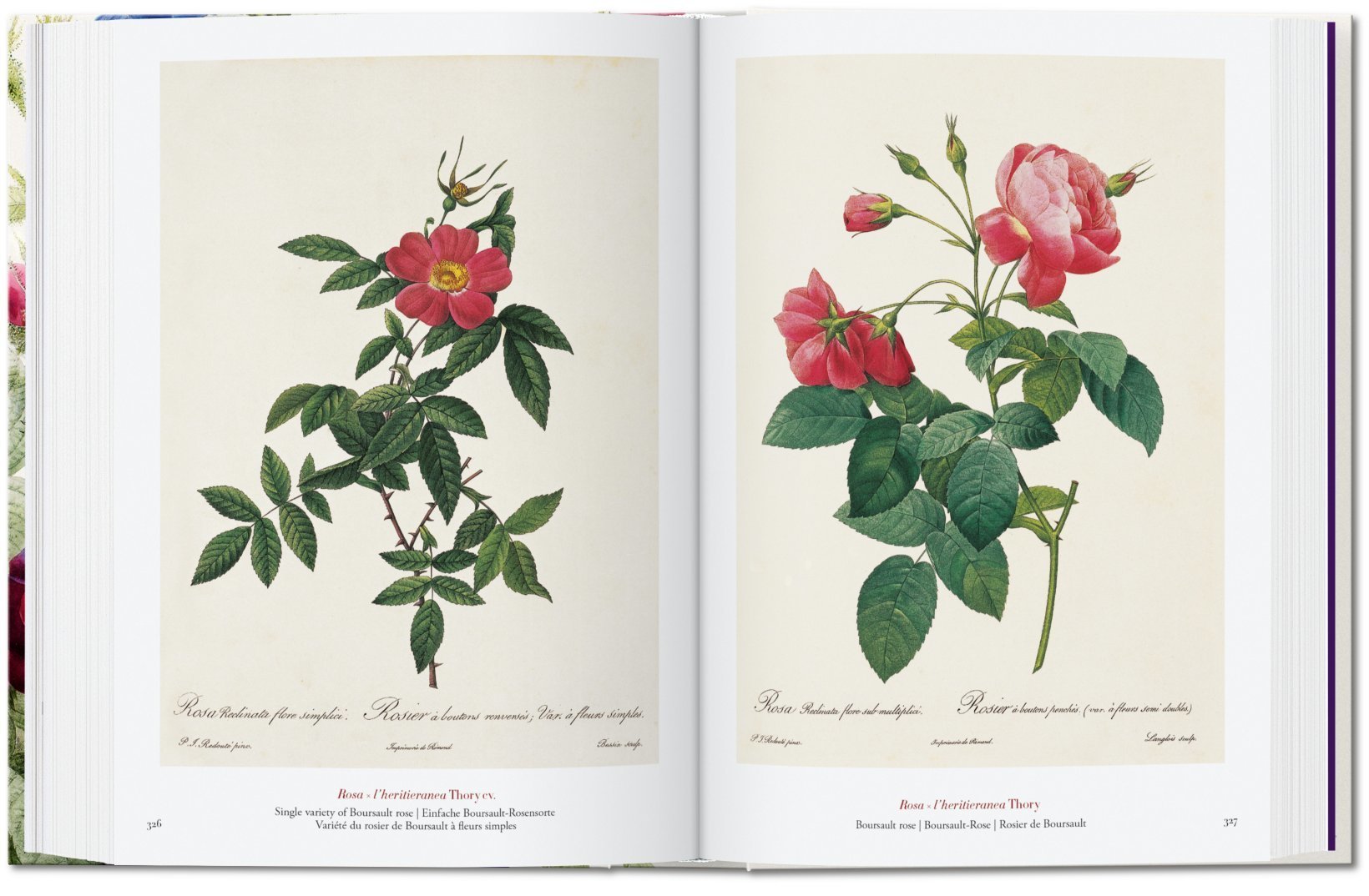 Redouté - Book of Flowers 40 Series
