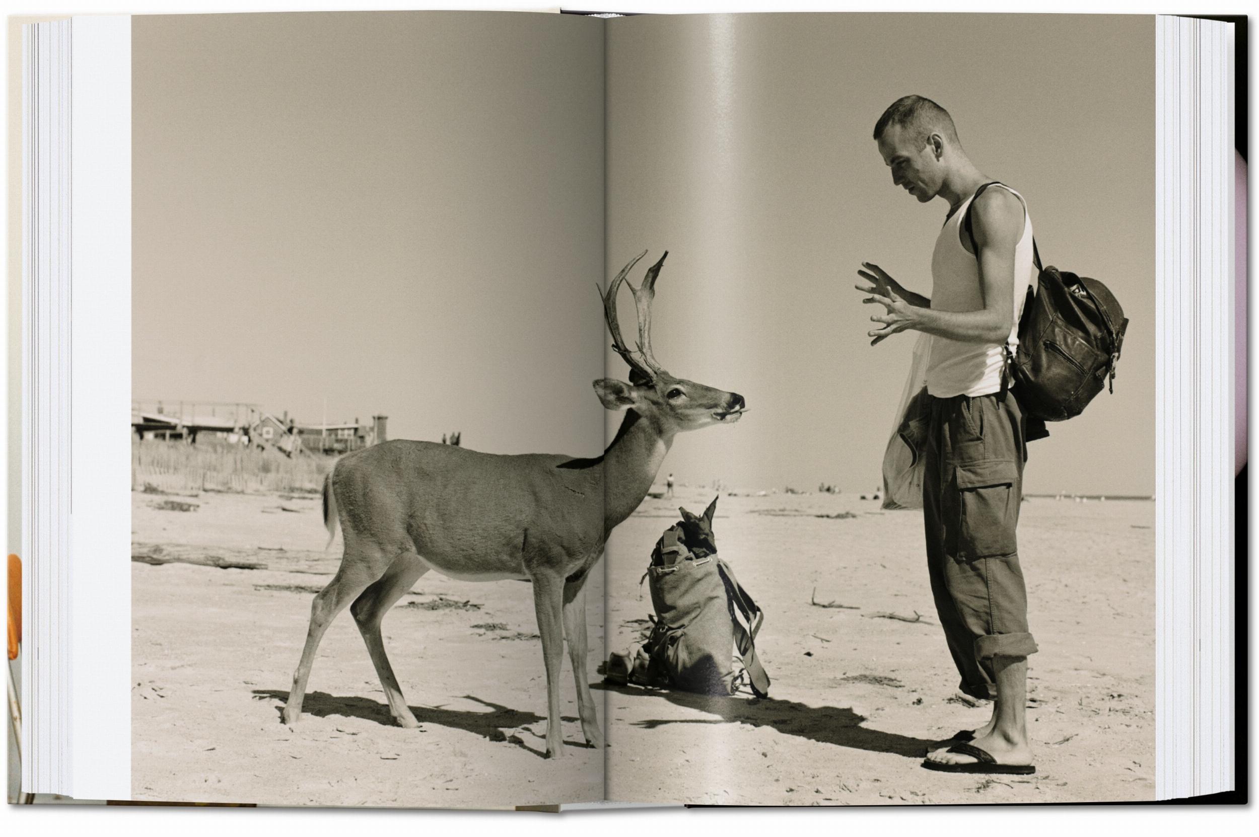 Wolfgang Tillmans - The Complete Works 40 series