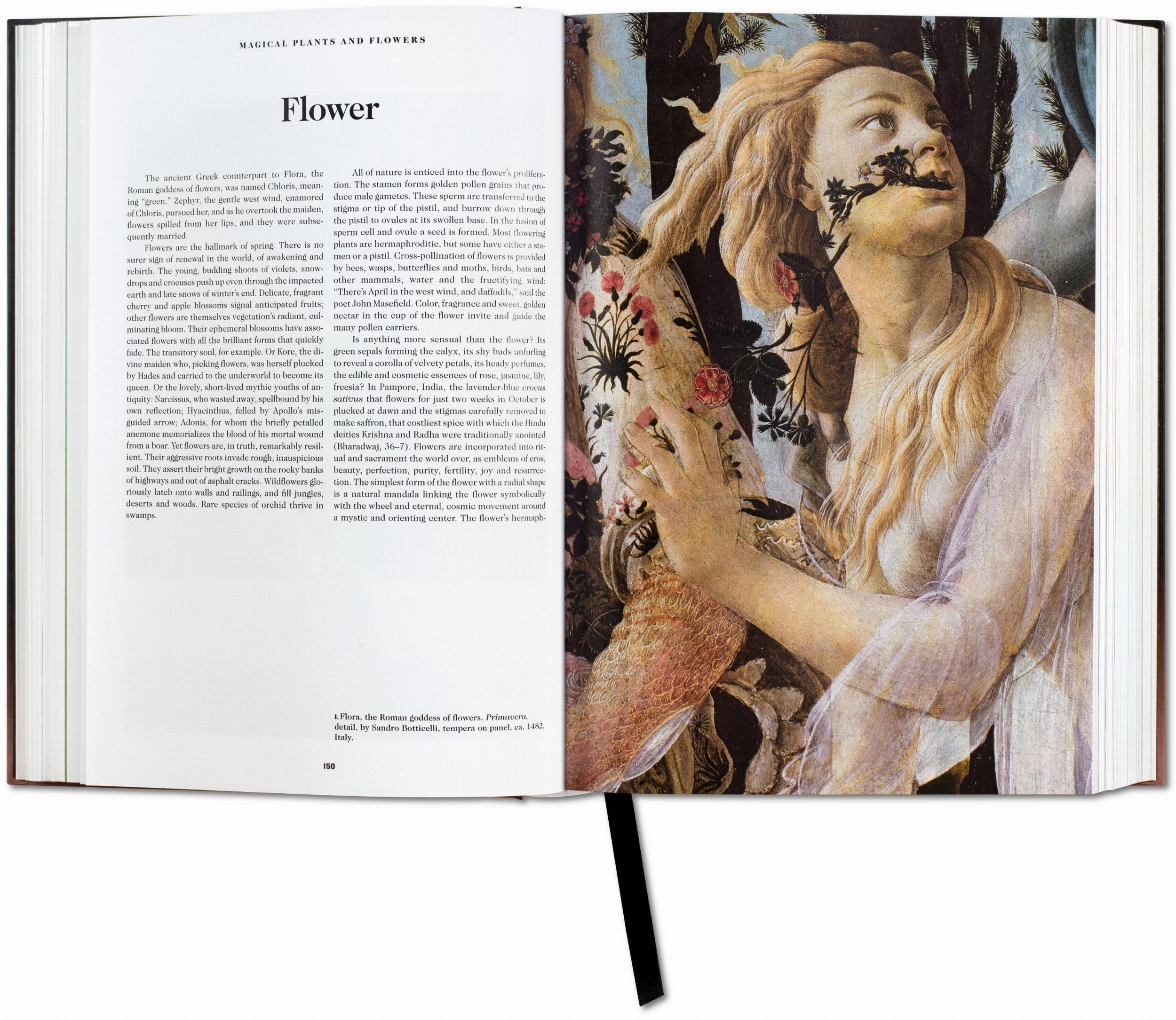 The Book of Symbols