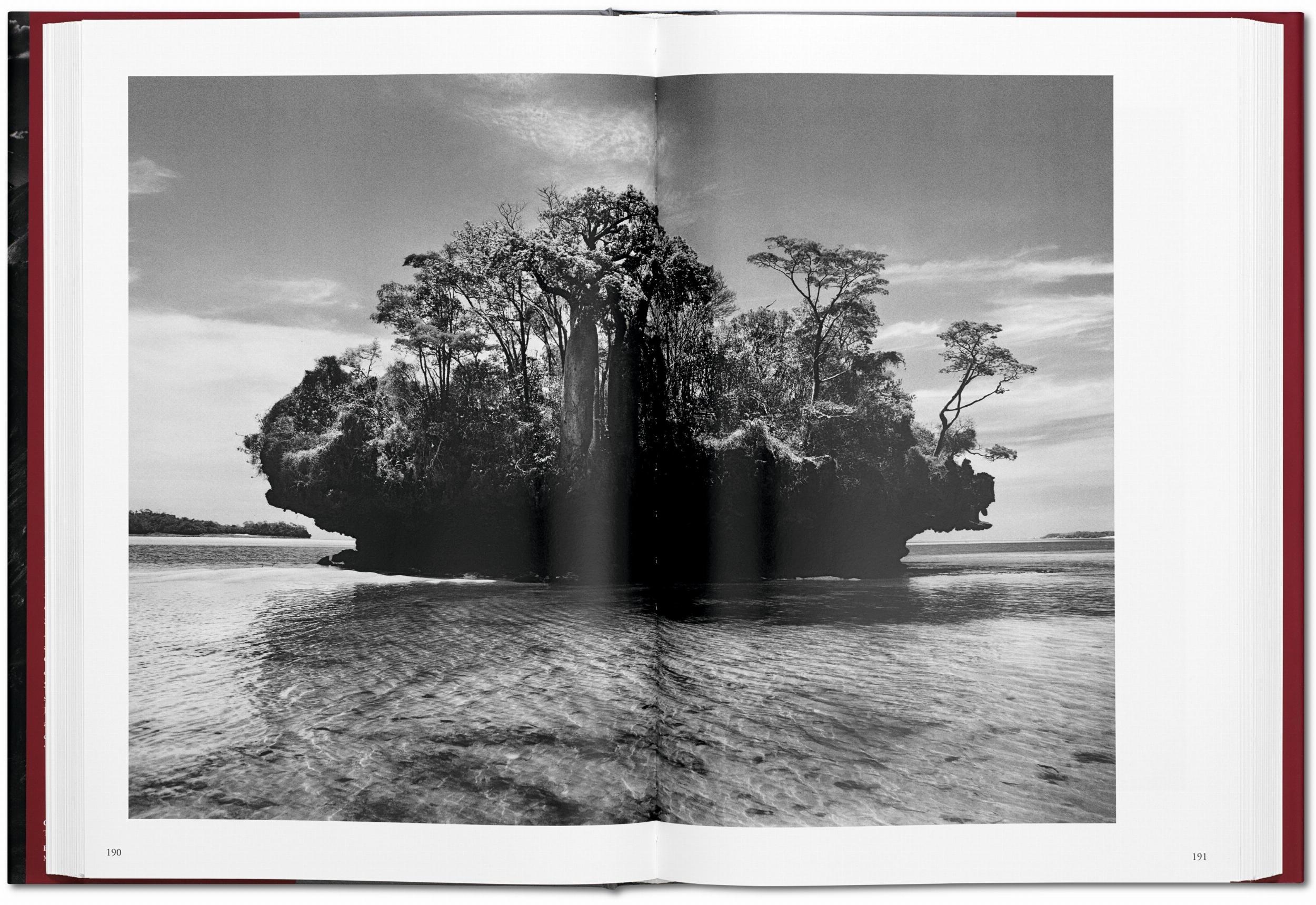 Sebastião Salgado. GENESIS