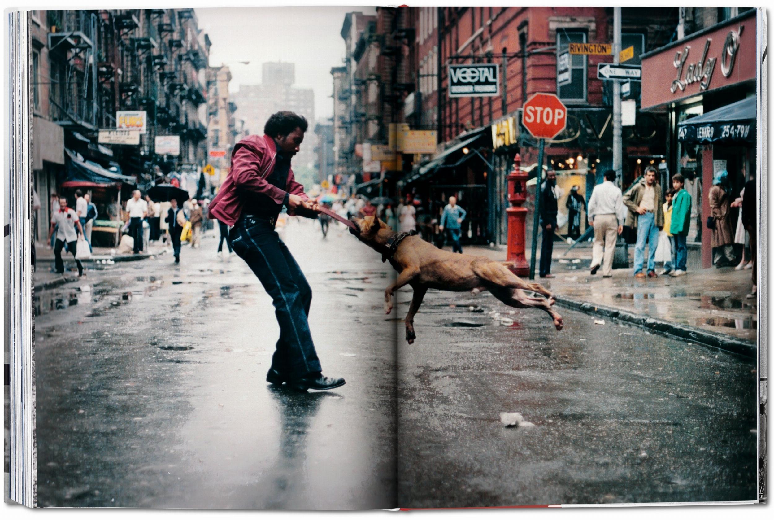 New York. Portrait of a City