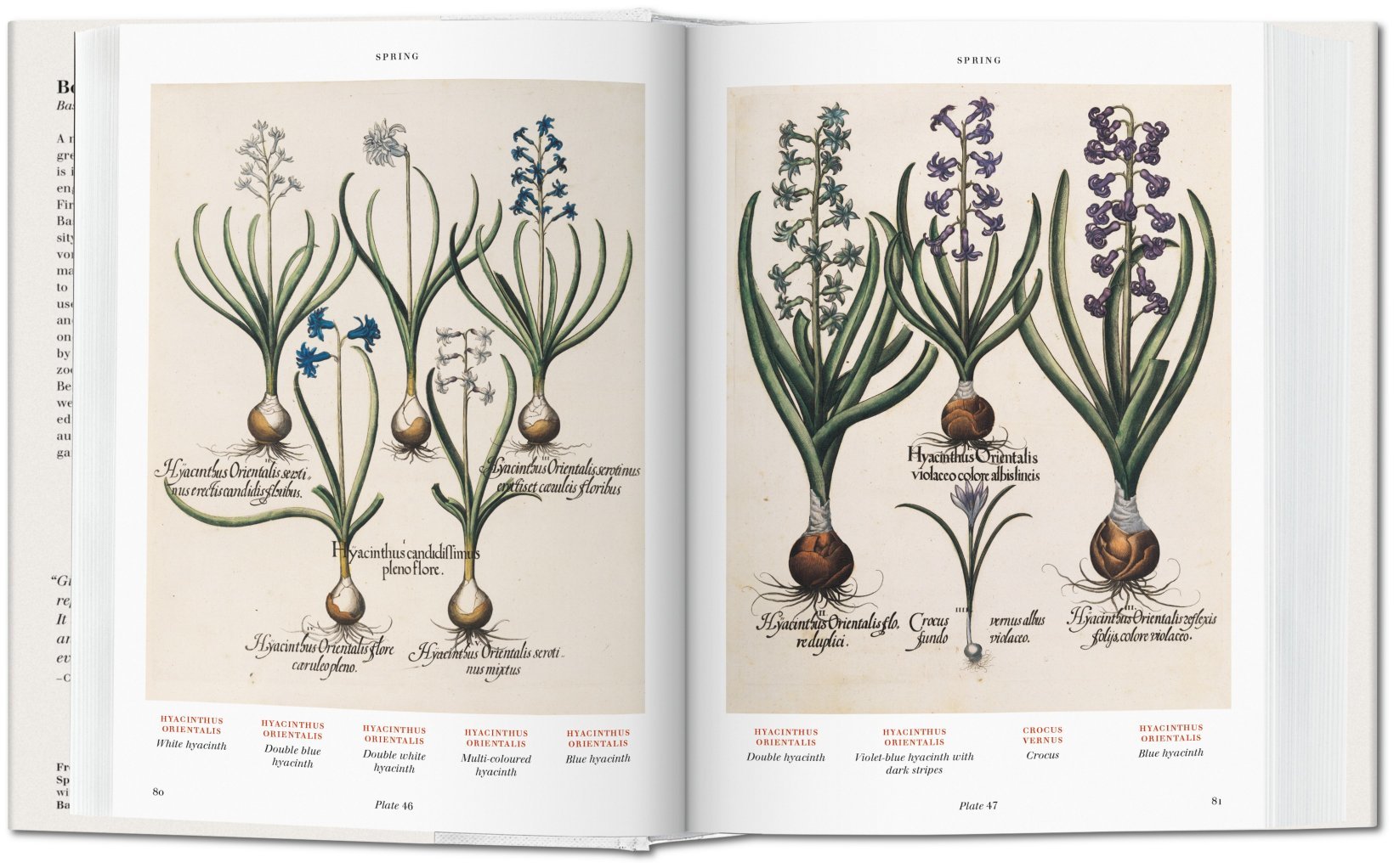 Florilegium. The Book of Plants