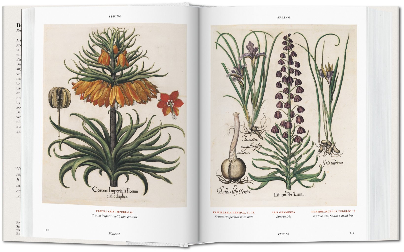 Florilegium. The Book of Plants