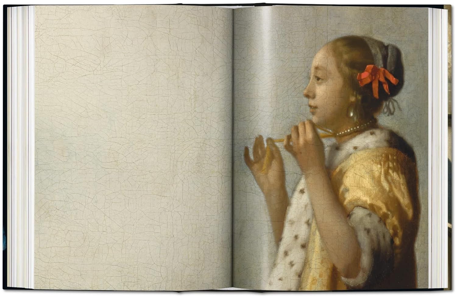 Vermeer. The Complete Works -  40th Edt.