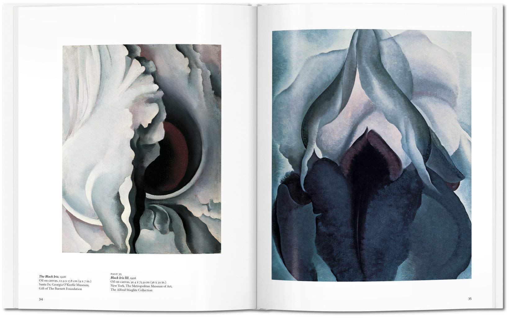 O'Keeffe - Basic Art Series