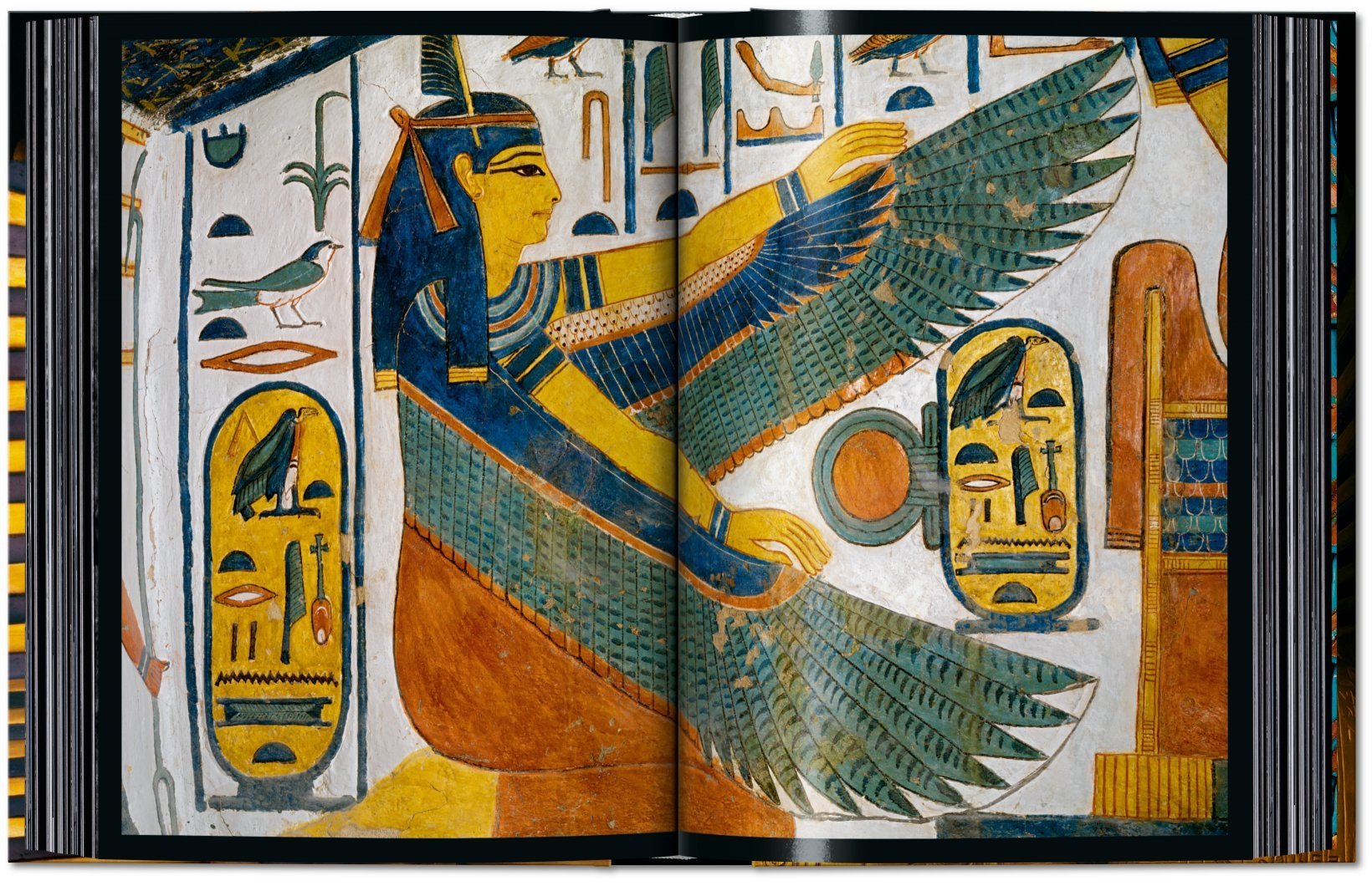 King Tut - 40 series