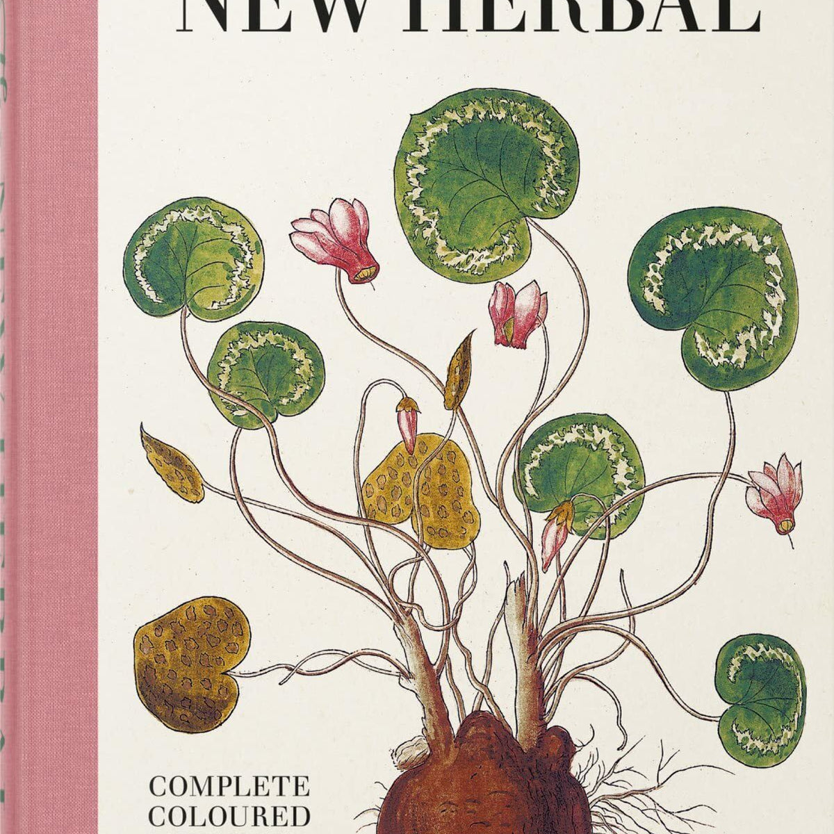 Leonhart Fuchs. The New Herbal