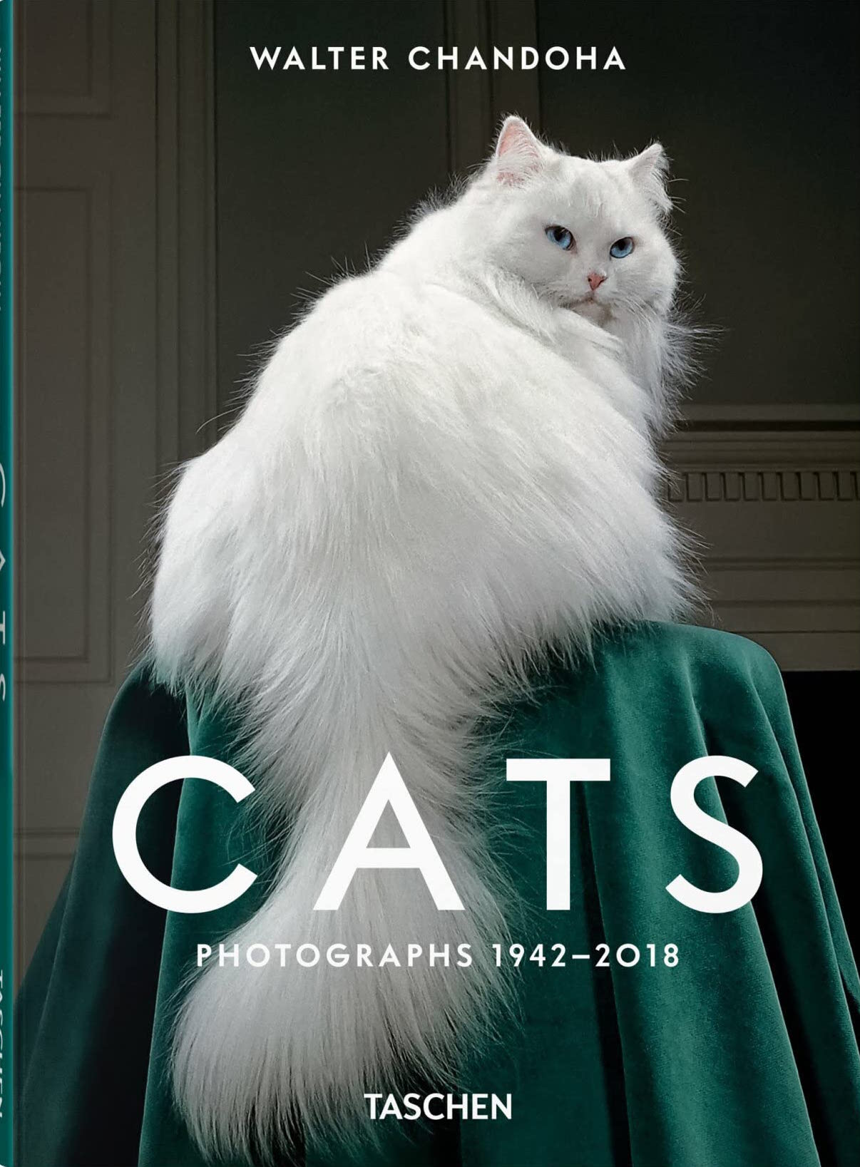 Cats. Walter Chandoha. Photographs 1942–2018 - Small