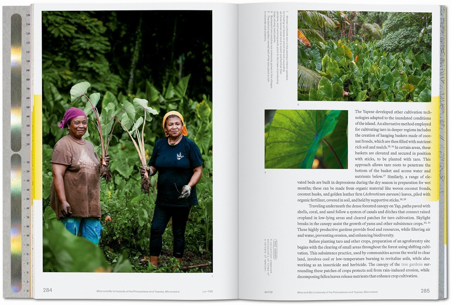 Julia Watson. Lo—TEK. Water. A Field Guide for TEKnology