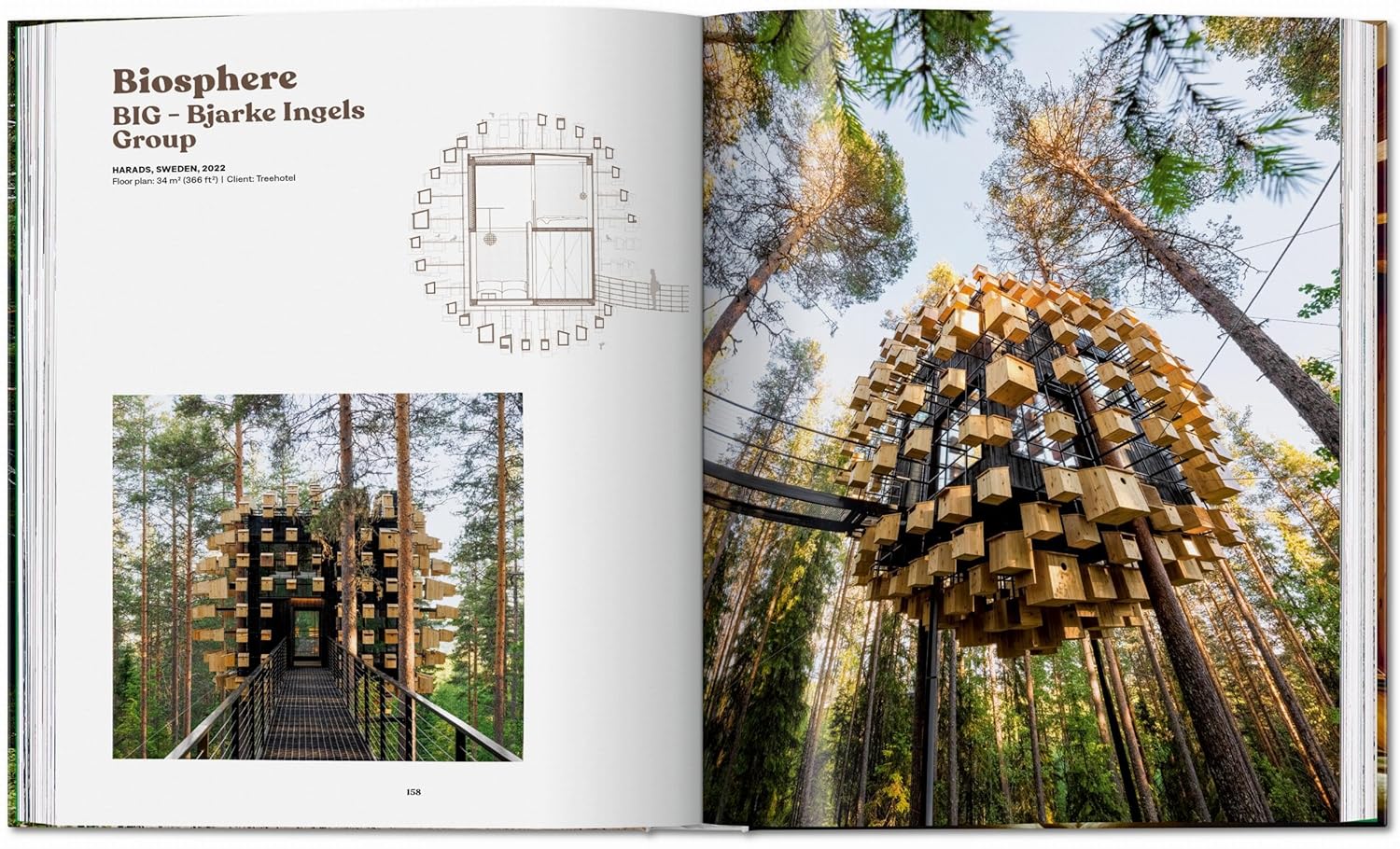 Modern Tree Houses