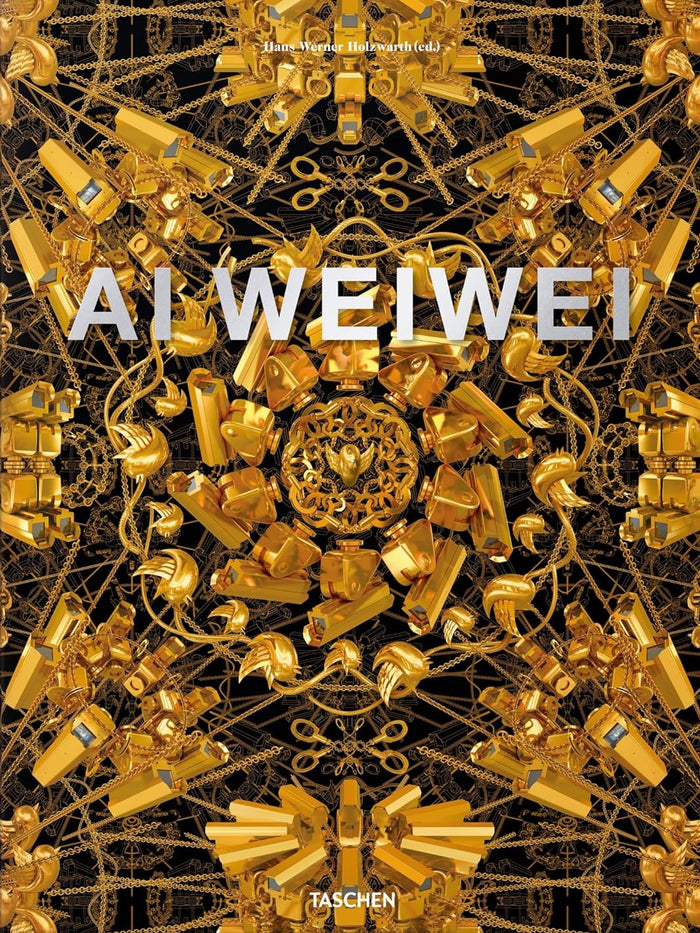 Ai Weiwei. Updated Edition