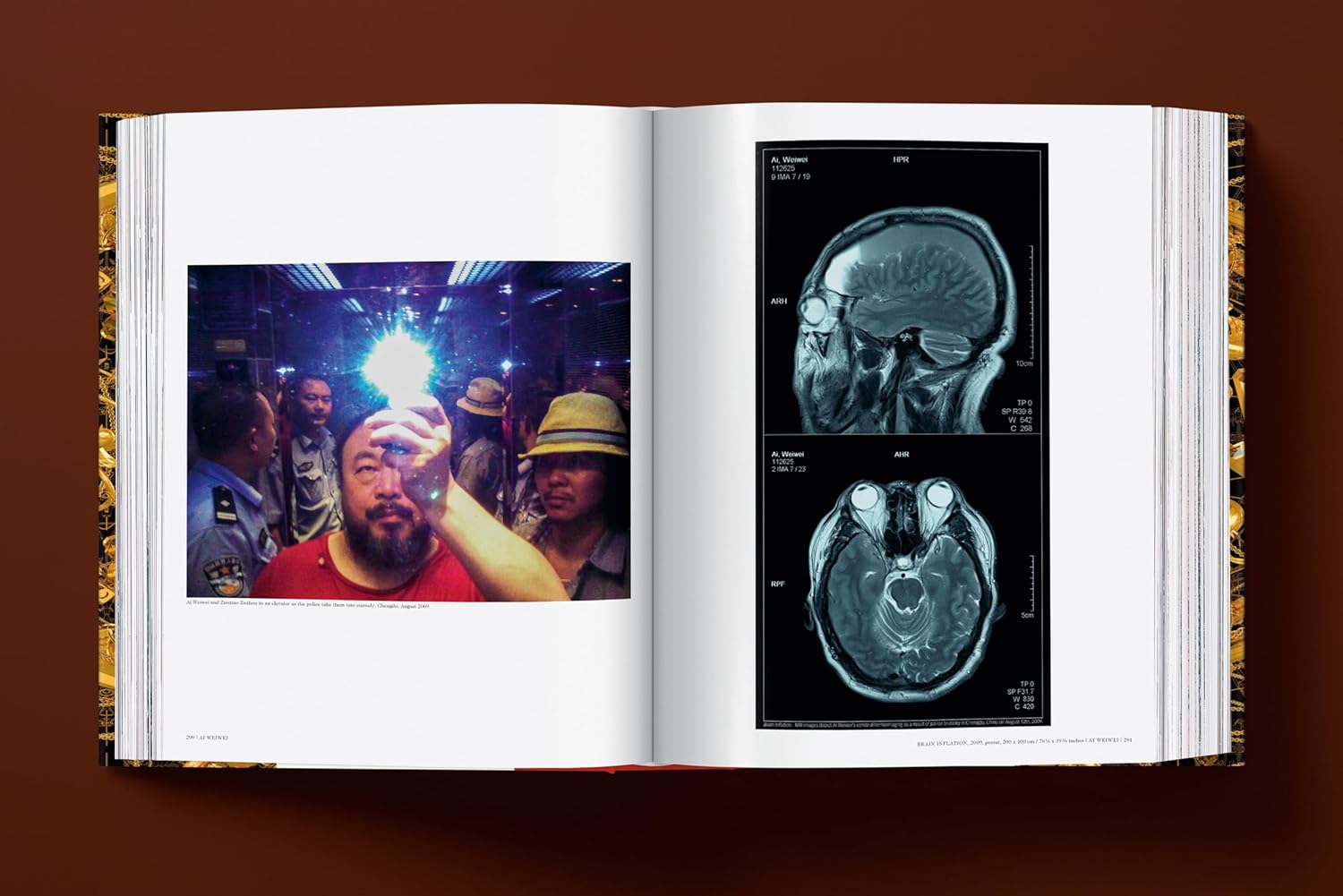 Ai Weiwei. Updated Edition