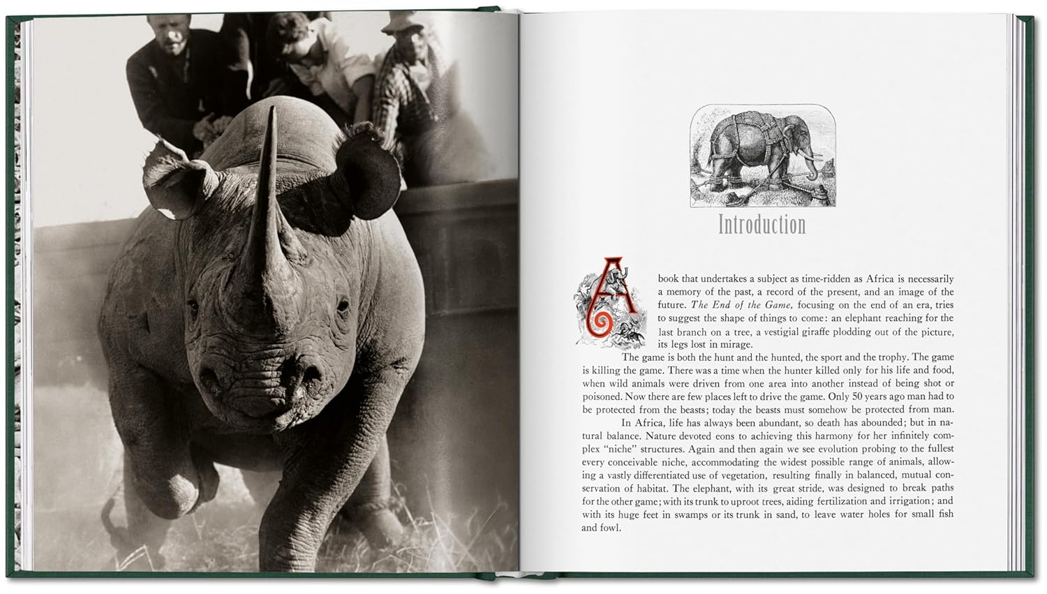 Peter Beard. The End of the Game