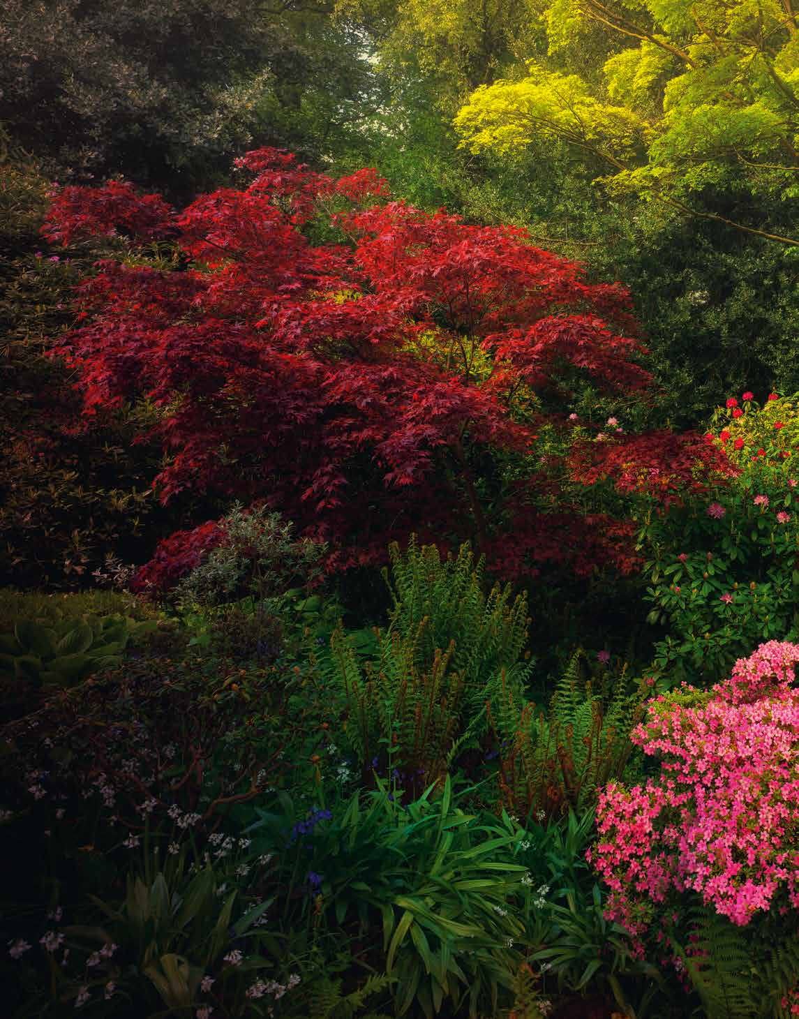 Greenhouses - Cathedrals For Plants