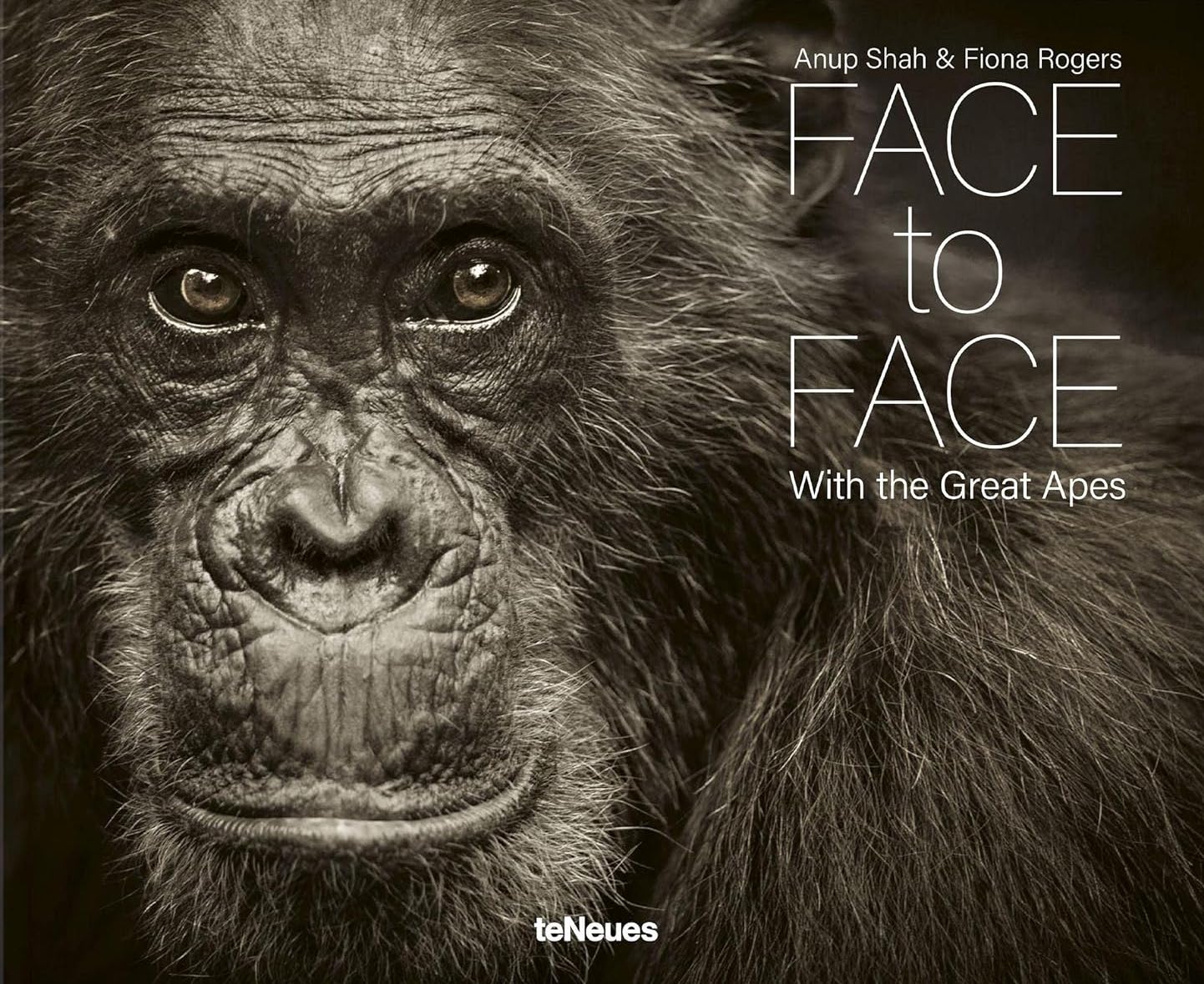 Face to Face - With the Great Apes
