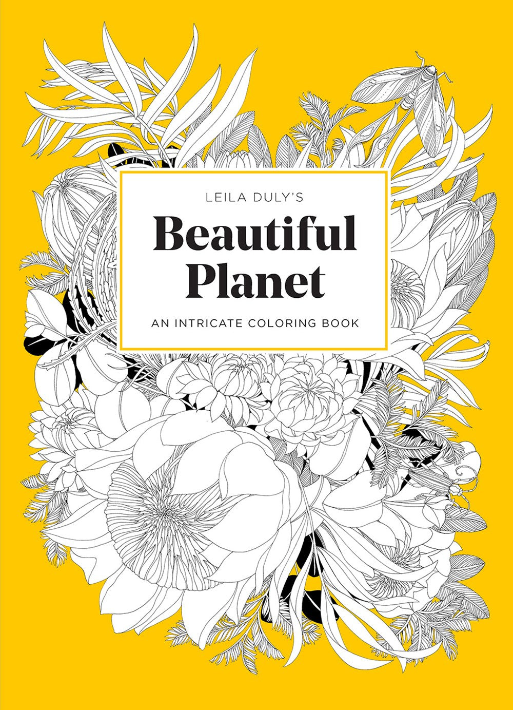 Beautiful Planet Coloring Book
