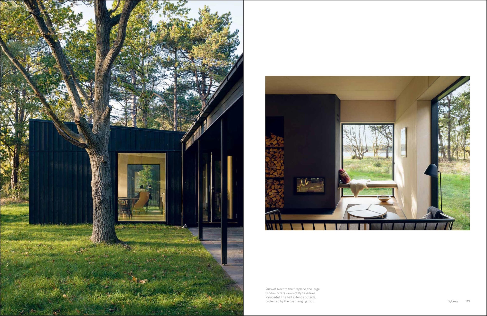 Earth, Sky & Water - Houses in the Nordic Style