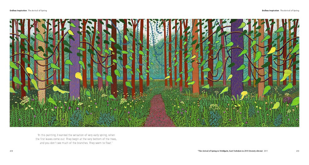 Hockney's Pictures