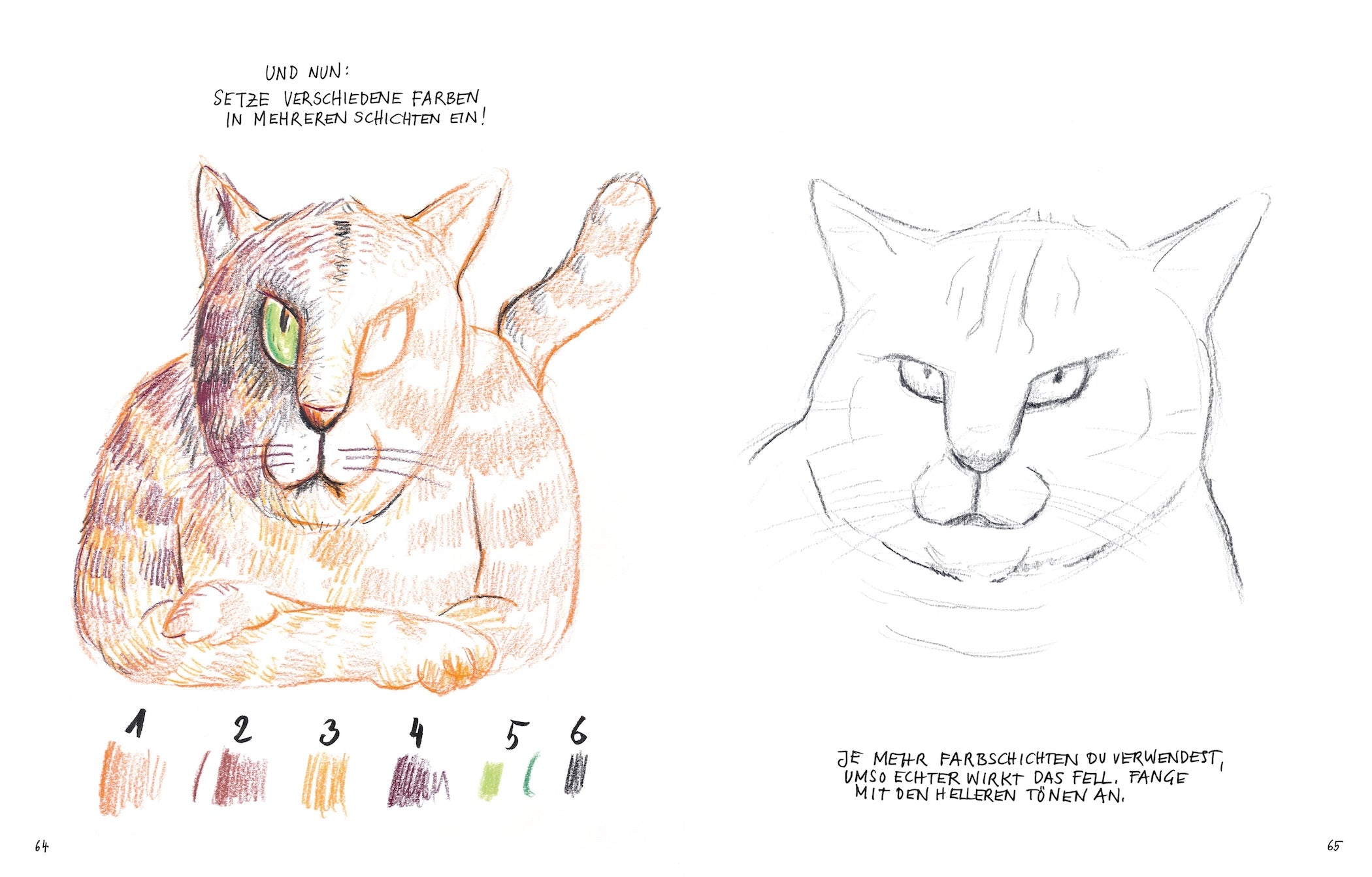 I Can Draw Cats